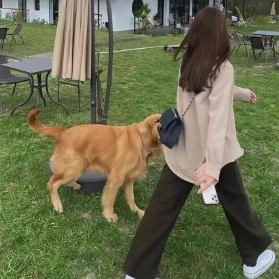 惊惧旅舍