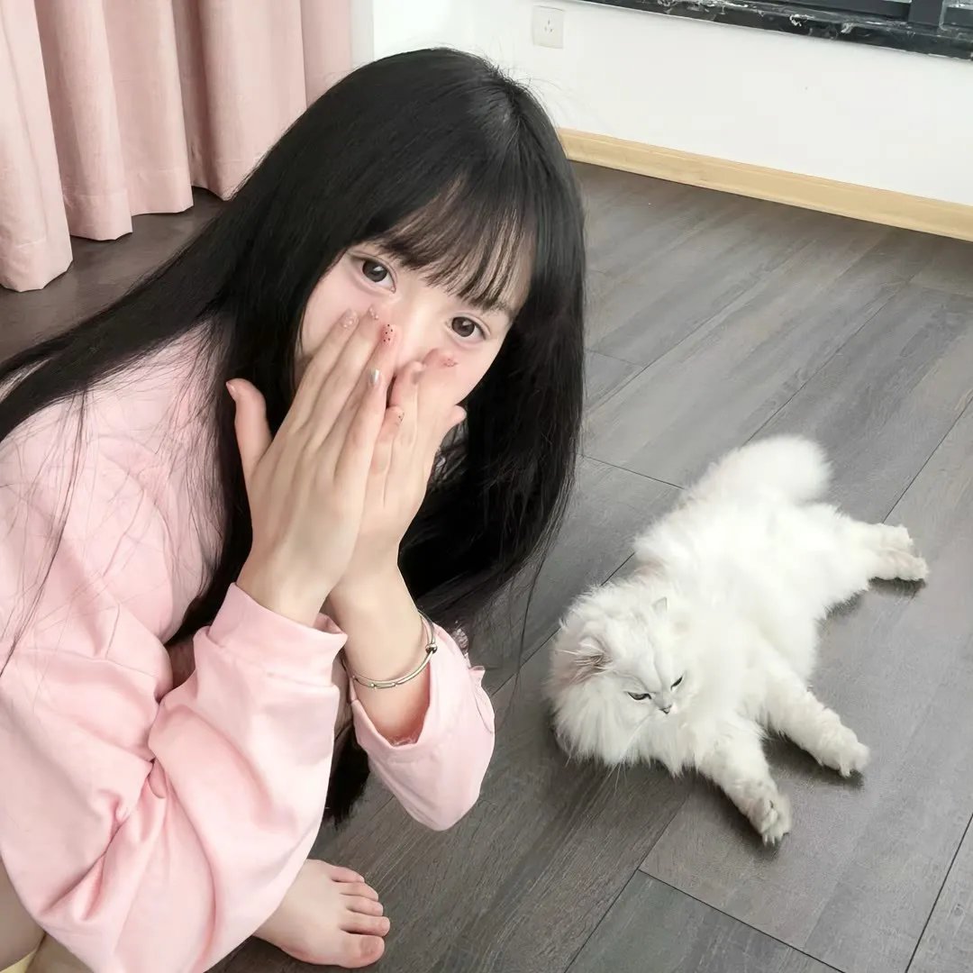功夫无敌