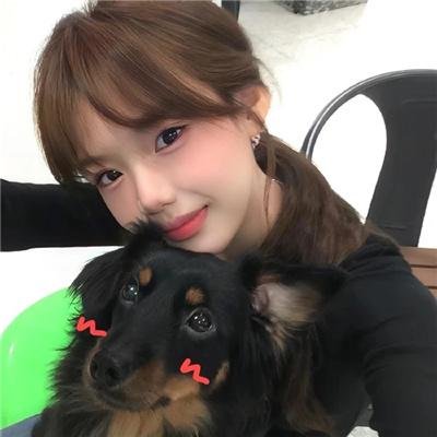 公猫